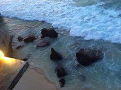 -Rock Bar Bali(Bali)
