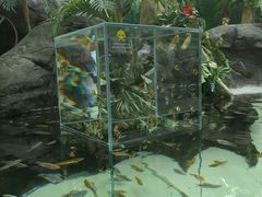 -上海海洋水族馆