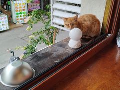 -LOOKA COFFEE(大鹏所城店)