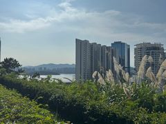 -狐尾山公园