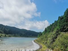 -武陵山森林公园