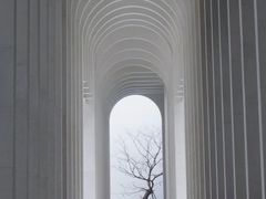-中国宣纸文化园