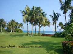 11副本-三亚亚龙湾红树林度假酒店