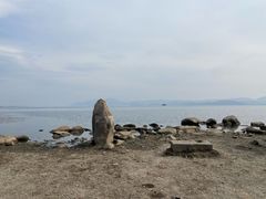 -洱海月湿地公园