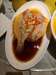 -新锦江大酒店·宴会厅·婚宴