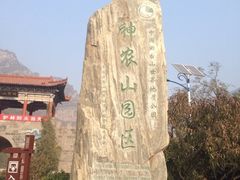 园区-神农山景区