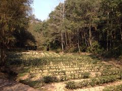 iphone_upload_pic-武夷山风景名胜区-虎啸岩