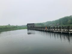 -溱湖国家湿地公园