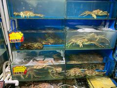 水产区-蚝专家(北滘店)