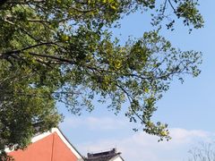 -穹窿山景区