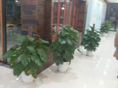 -Bco豆库(星耀天地店)