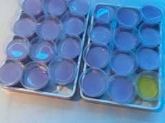 -湖锦酒楼·30年经典湖北菜(光谷店)