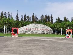 -上海海湾国家森林公园