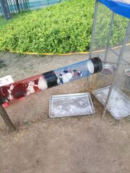 -萌宠亲子动物乐园(槐房万达店)