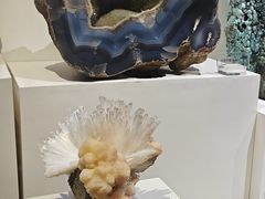 -重庆自然博物馆(新馆)