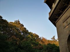 -灵谷景区