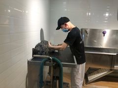 -Pets First伊珊娜洗护·精致美容·家庭式寄养(新会路店)
