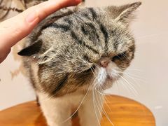 -参差咖啡(水果湖公园店)