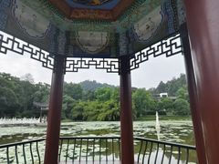 -青龙山国家森林公园