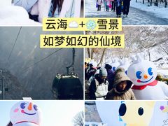 -少华山国家森林公园