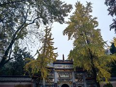 -岳麓山风景名胜区