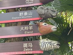 -深圳野生动物园