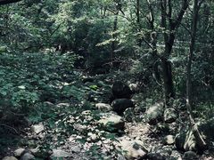 -大奇山国家森林公园