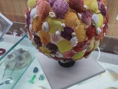 -青岛贝壳博物馆