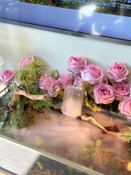 -Lumi露米·美甲美睫品质店