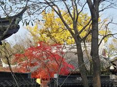 -穹窿山景区