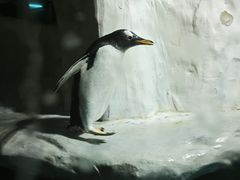 -南昌海洋公园