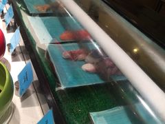 -宁波石浦豪生大酒店·自助餐厅