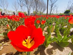 -廊坊文化艺术中心