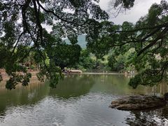 -福建土楼(南靖)景区