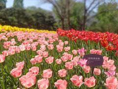 -国家植物园