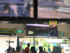-圣淘沙天际线斜坡滑车