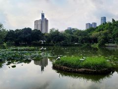 -人民公园(罗湖区)