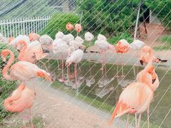 -大连老虎滩海洋公园