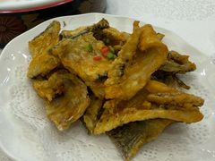 -寻味顺德·南记酒家·传统顺德菜·鱼生(广源路店)