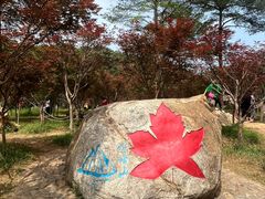 -广州市帽峰山景区