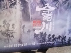 -万达影城(锦华万达广场IMAX店)