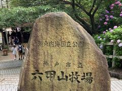 -神户市立六甲山牧场