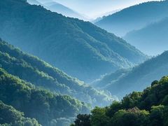 -莫干山风景区