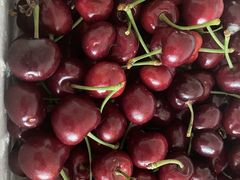 -东方鼎信农副产品交易中心