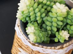 -山海菜馆·海肠捞饭·青岛菜(栈桥店)