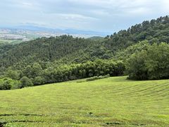 -敬亭山风景名胜区