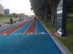 -福田红树林生态公园