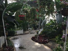 -石家庄市植物园