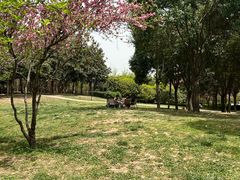 -洨河生态公园