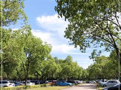 场地-嘉北郊野公园北游客中心-地上停车场